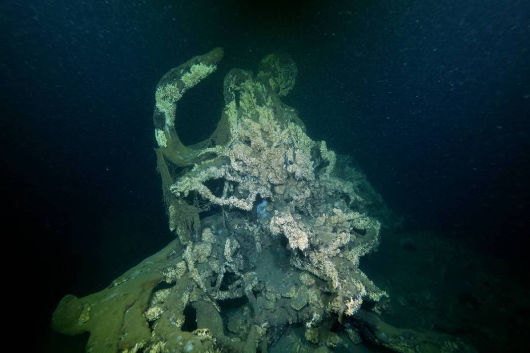 1999 Gölcük depreminde sular altında kalmıştı: Şaşırtan manzara! 26 yıl sonra görüntülendi 12